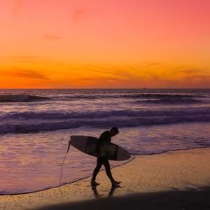 Meet your Posher, Paddy